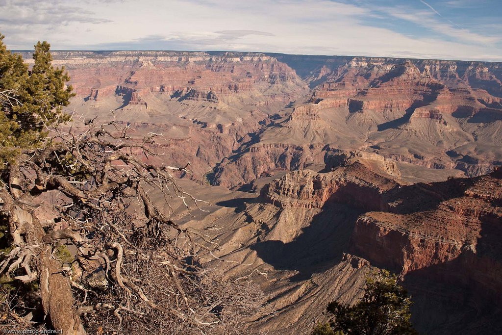 72-20112010USA_LND1767.jpg - Grand Canyon, Arizona