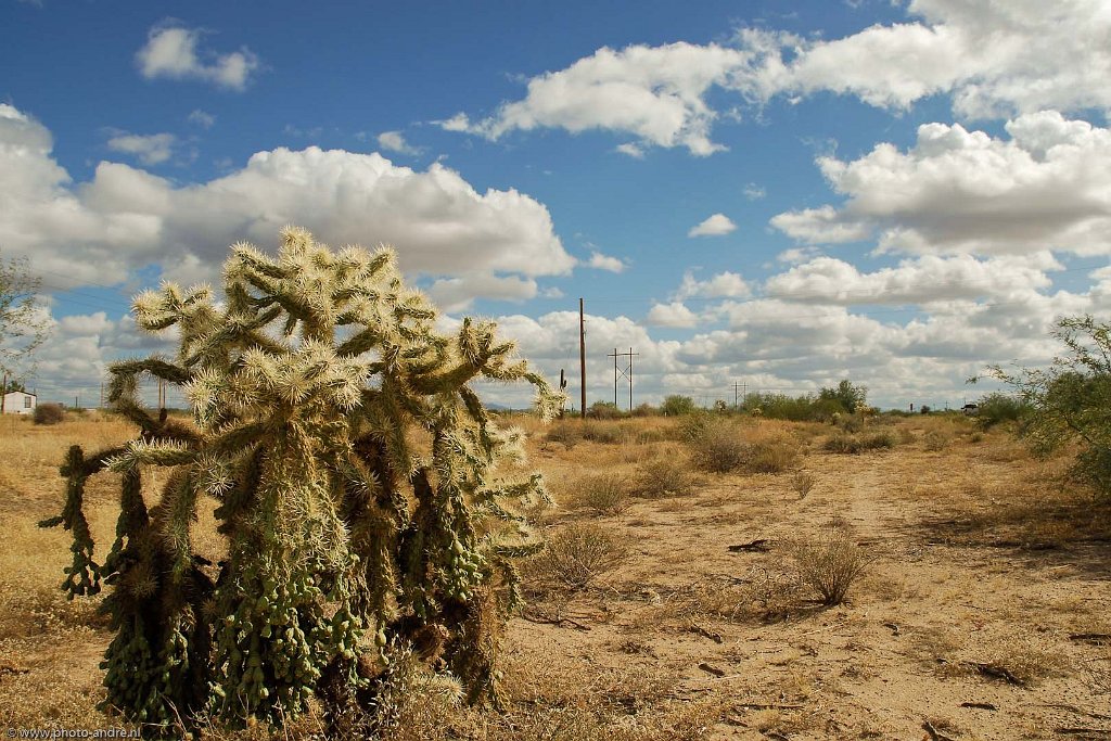 72-21112010USA_LND1874.jpg - Phoenix Area, Arizona